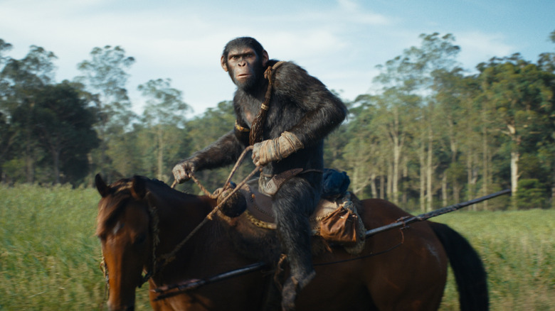 Kingdom of the Planet of the Apes Noa 