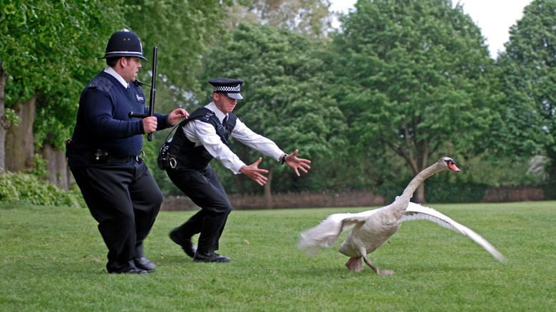 Hot Fuzz, swan