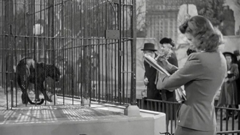 Jane Randolph studies cat in zoo