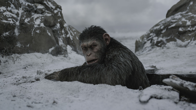 War For the Planet of the Apes Caesar 