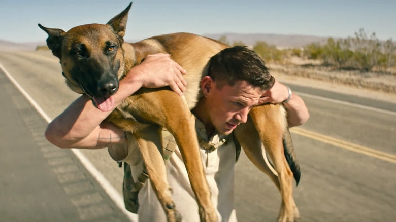 Dog movie Channing Tatum