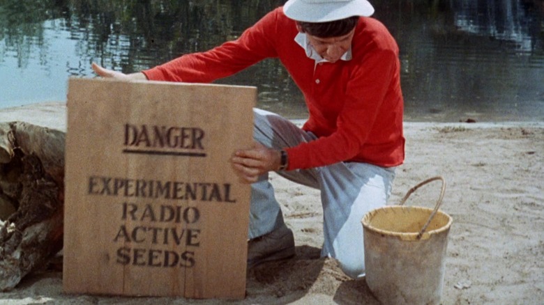 Gilligan's Island, Bob Denver