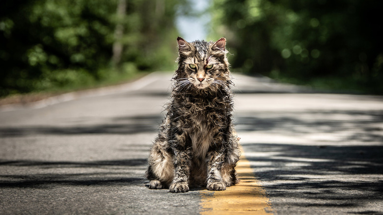 Pet Sematary