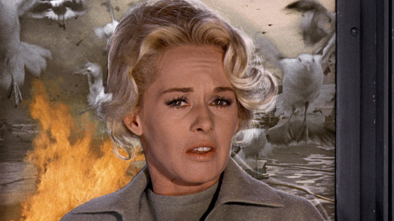 Tippi Hedren Bird Attack