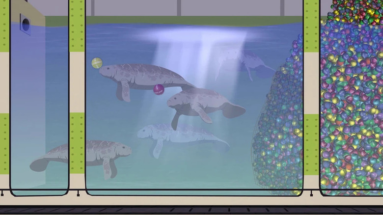 An aggregation of manatees pushing small spheres around their tank, writing an episode of "Family Guy."