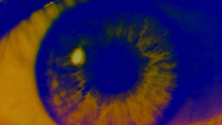 2001: A Space Odyssey eye