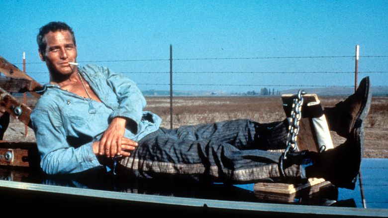 Paul Newman chained up in Cool Hand Luke