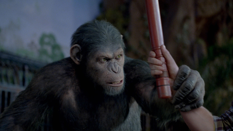 Rise of the Planet of the Apes Caesar