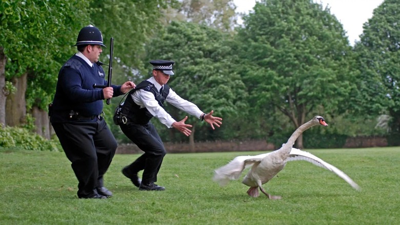 Simon Pegg, Nick Frost and a swan in Hot Fuzz