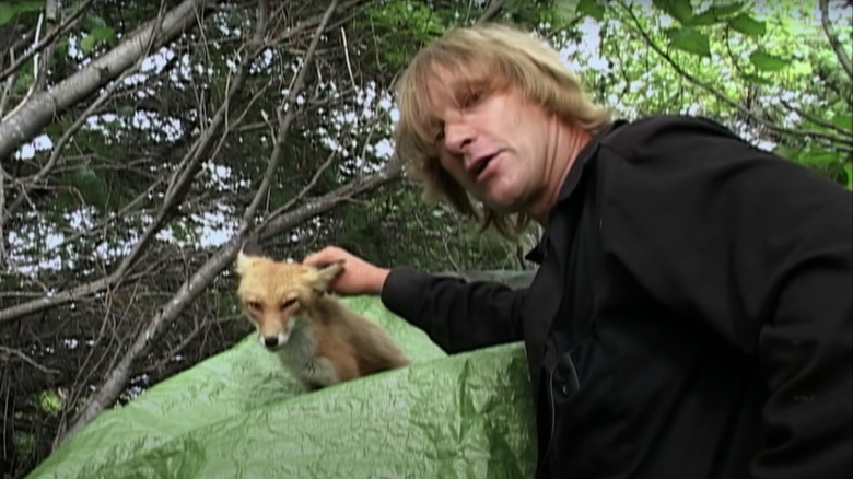 Grizzly Man Timothy Treadwell Fox