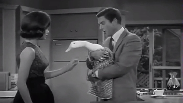 O pato Dick Van Dyke Show