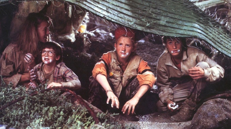 A still from Honey I Shrunk The Kids