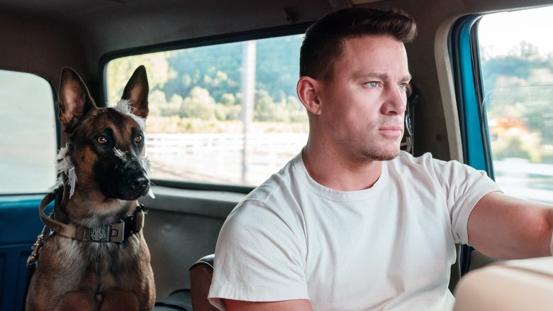 Channing Tatum with his fetching canine co-star in "Dog"