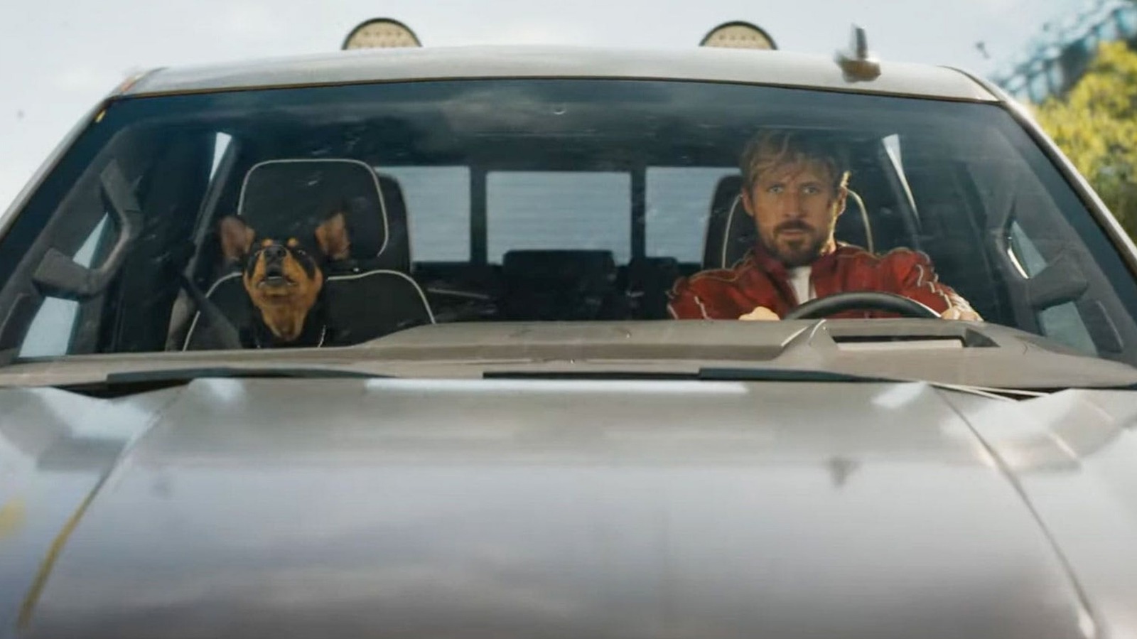 The Fall Guy's Adorable Dog Was Ryan Gosling's Tribute To A Real-Life ...