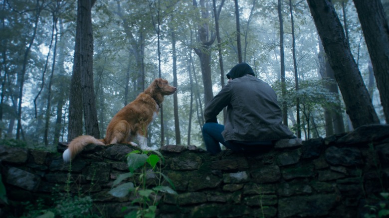 Indy stares at Todd in Good Boy