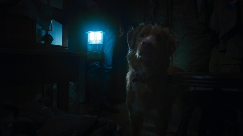 Indy stands next to a lit lantern in a dark room in Good Boy