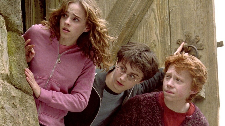 Hermione Harry and Ron