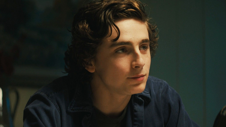 Timothée Chalamet's Nicolas Sheff looks off into the distance in Beautiful Boy