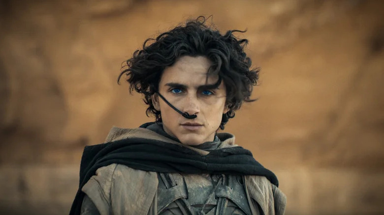 Timothée Chalamet's Paul Atreides looks determined in Dune: Part Two