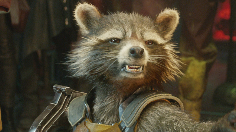 Rocket Raccoon close-up Guardians of the Galaxy