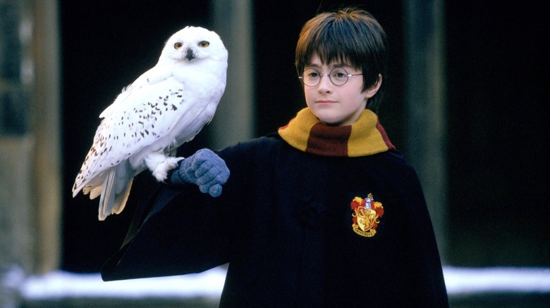 Daniel Radcliffe como Harry Potter segurando Hedwig the Owl em Harry Potter e a Pedra Filosofal (2001)