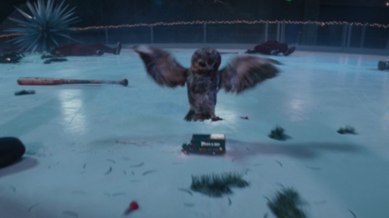 The best owl in the world in Hawkeye