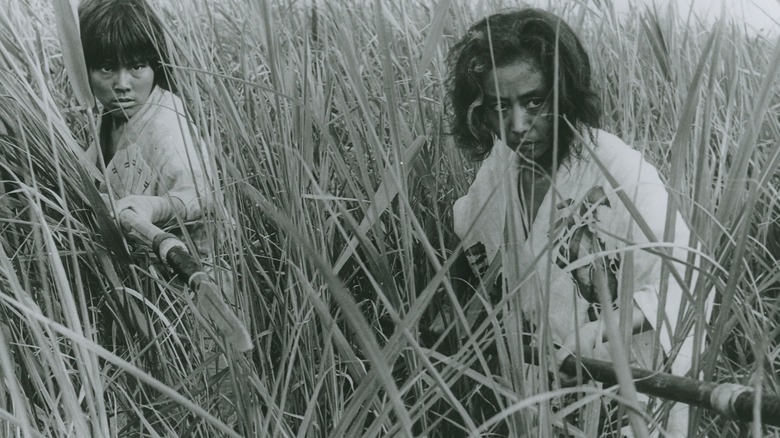 Unnamed older and younger woman in the field in Anibaba