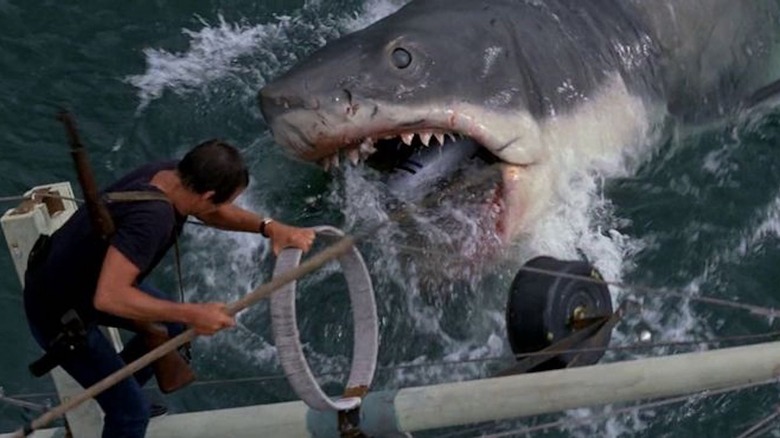 Roy Scheider Jaws Brody