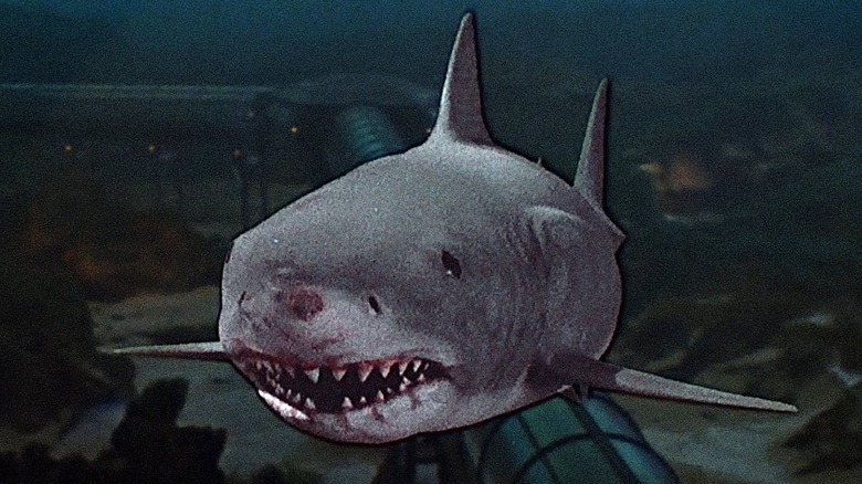 Jaws 3-D Fake Shark