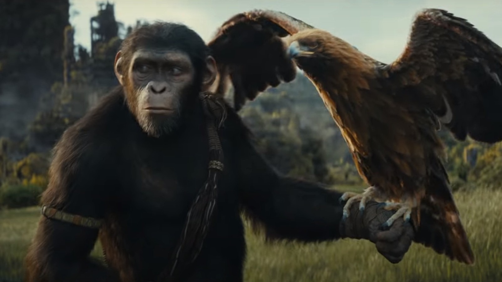 The Kingdom Of The Of The Apes Trailer Wants To Know If You're