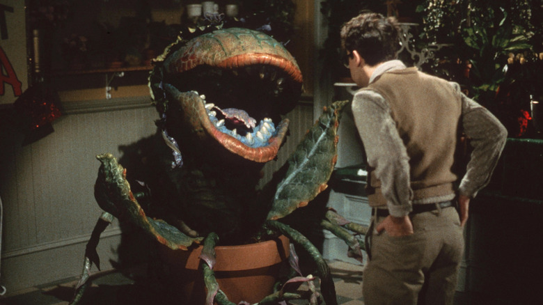 Audrey III in Little Shop of Horrors