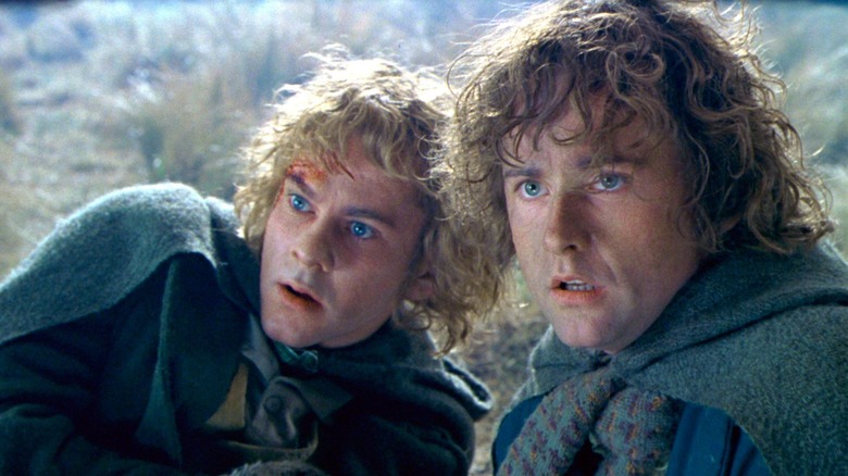 Dominic Monaghan and Billy Boyd in Sean Astin and Elijah Wood in 'The Lord of the Rings: The Two Towers'