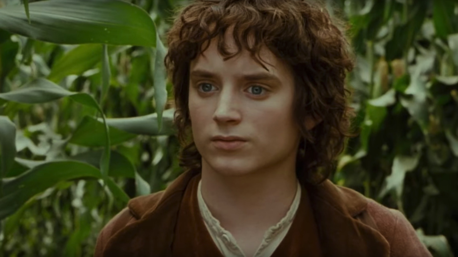 The Lord Of The Rings: Who Are Frodo's Parents?