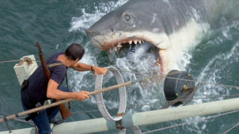 Brody and the Shark in Jaws