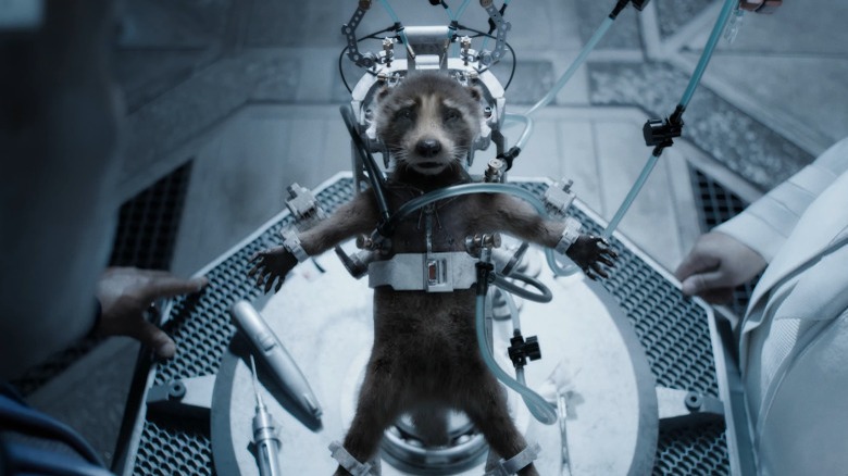 Guardians of the Galaxy Vol. 3 Rocket