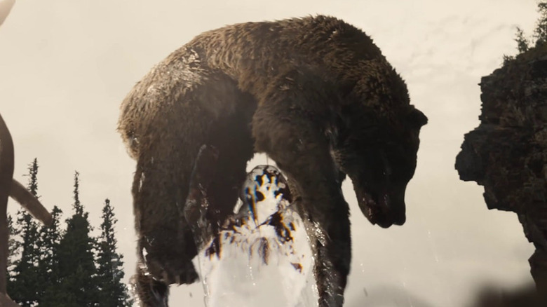 Bear lifted by Predator
