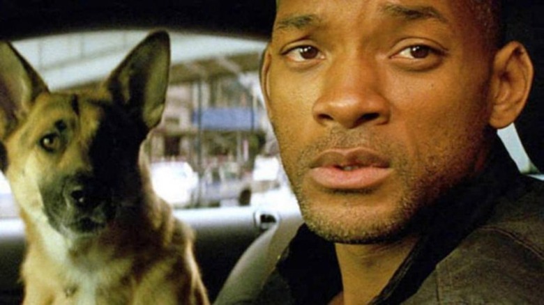 Will Smith and dog in car in I Am Legend