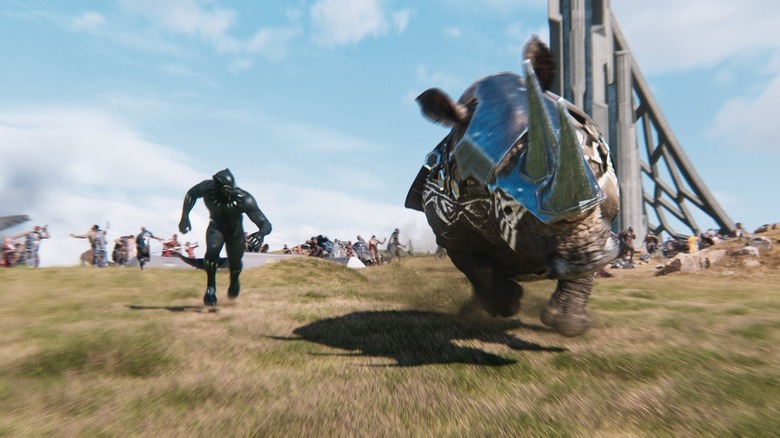 Black Panther chases rhino