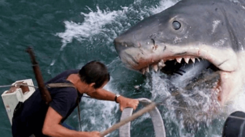 Roy Scheider in Jaws giving Bruce the Shark his last snack