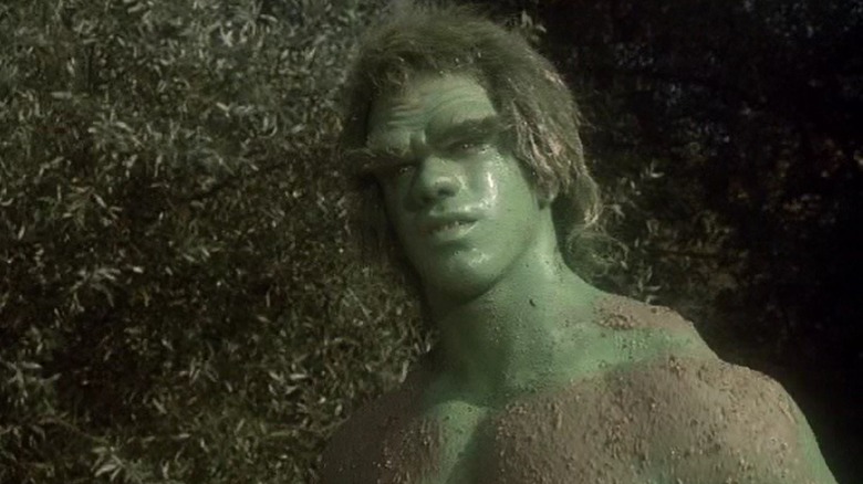 The Incredible Hulk TV show