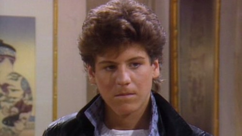 Scott Jacoby pouts as Michael Zbornak in The Golden Girls