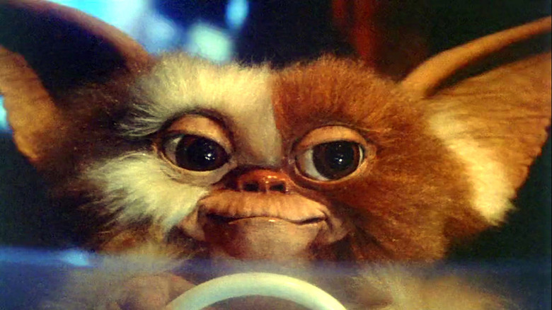 Gizmo dirigindo um carro de brinquedo em Gremlins