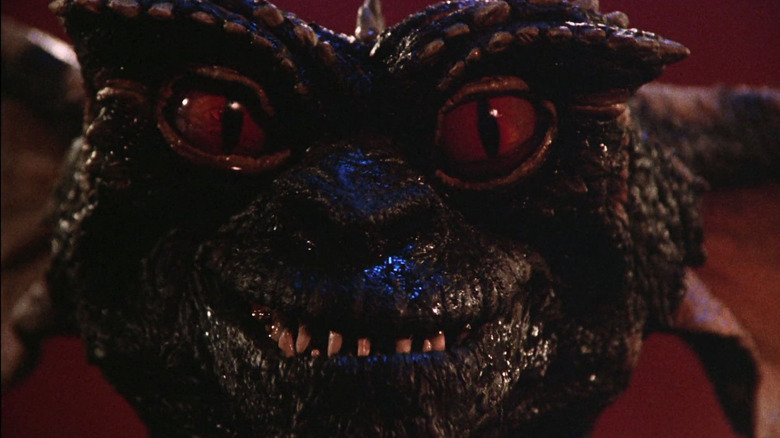 Close-up of Stripe in Gremlins