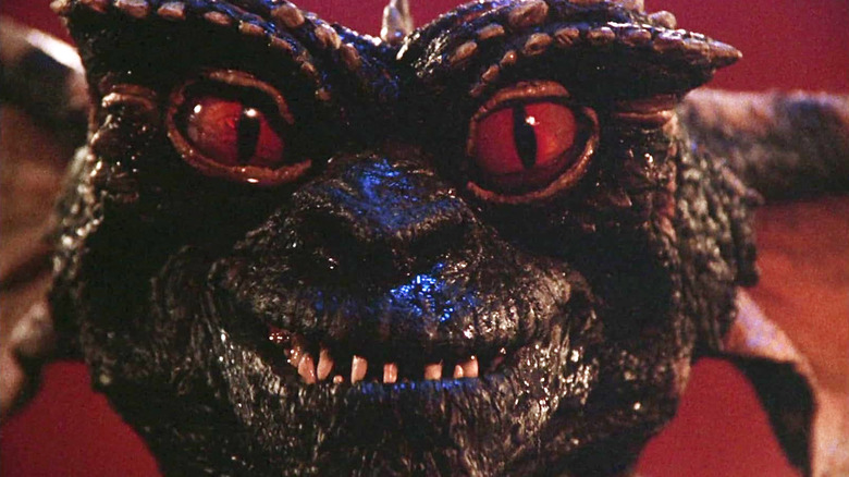 Close-up of Stripe in Gremlins