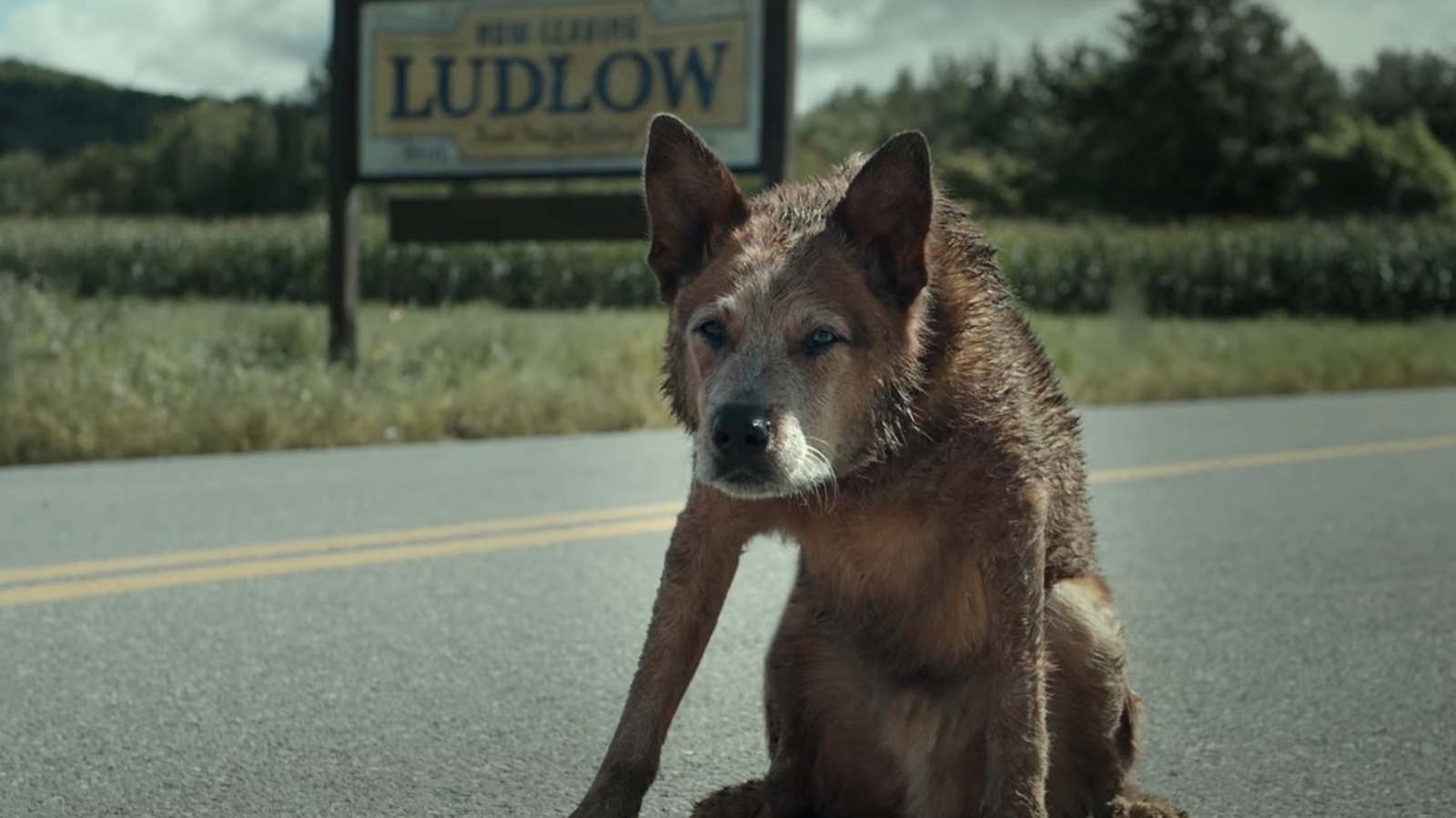 The Pet Sematary Bloodlines Trailer Takes You Back To Stephen King's