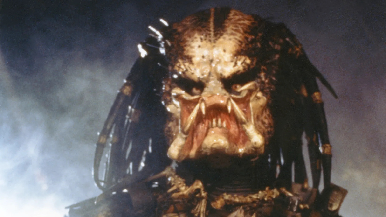 The 7 'Predator' Movies, Ranked – IndieWire