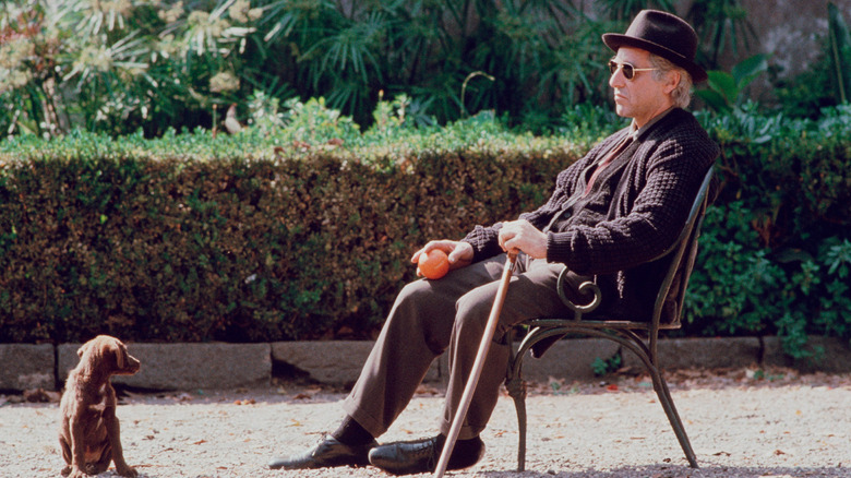 Michael Corleone sitting alone with a dog in The Godfather Part III