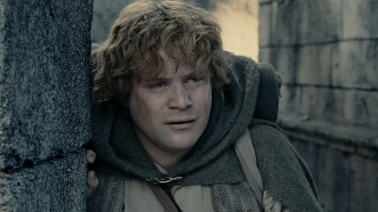 Close up of Sam from The Two Towers