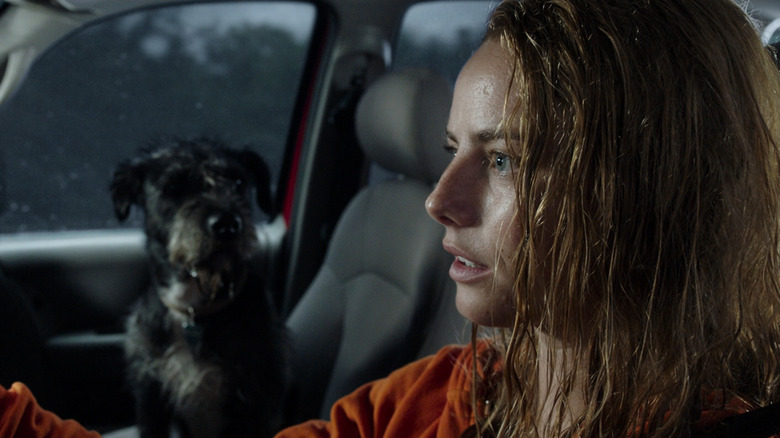 Kaya Scodelario in Crawl