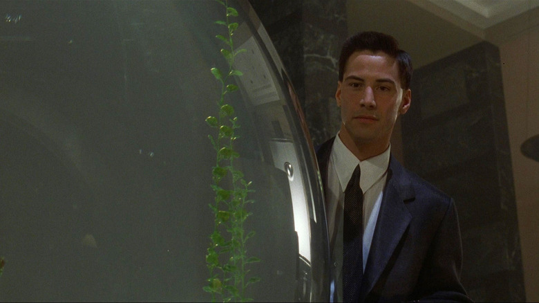 Johnny Mnemonic, fish tank